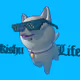 kishu life