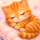 Kitten
