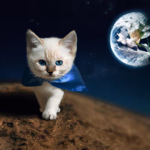 Kittenverse - old V2