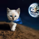 Kittenverse - old V2