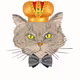 Kitty King