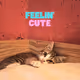 Kitty Mishi