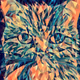 KittyCat Museum