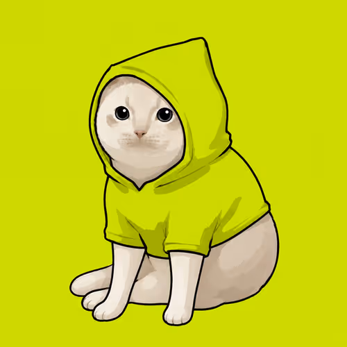 kittyhoodies