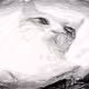 Kittymoon
