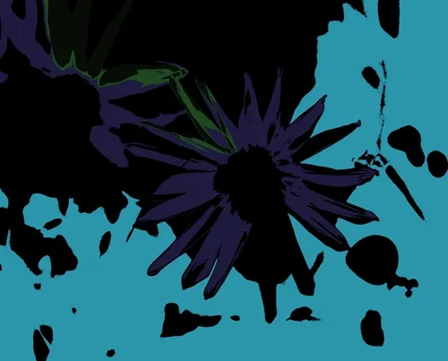 KIZ Cotsworld Collection