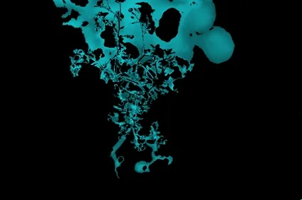 KIZ Growth Collection