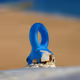 Blue Albufeira