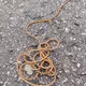 Know Knots