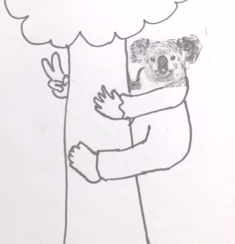 Koala no taro Handwrittencollection