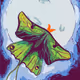You Gave Me Butterflies - old