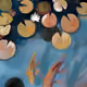 Koi - Sacred Fish
