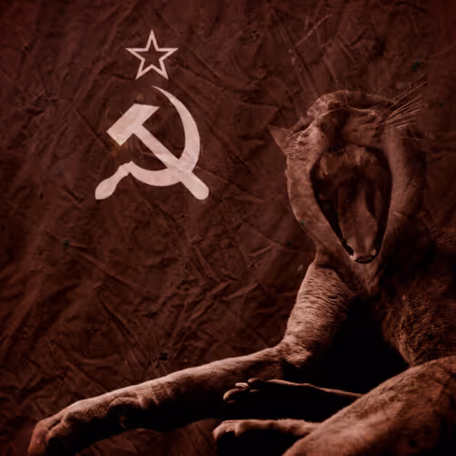 Kokosha and creepy things from the USSR