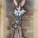 Alice's Wonderland