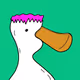 Kool Ducks NFTs