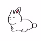 koya animal collection - old