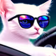 kr96 cats