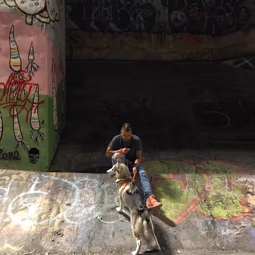 Krswavii Doggos