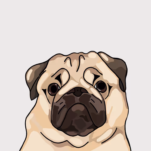KryptoPaws Collection
