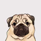 KryptoPaws Collection