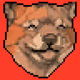 KryptoShiba