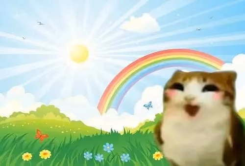 Kucing Pelangi