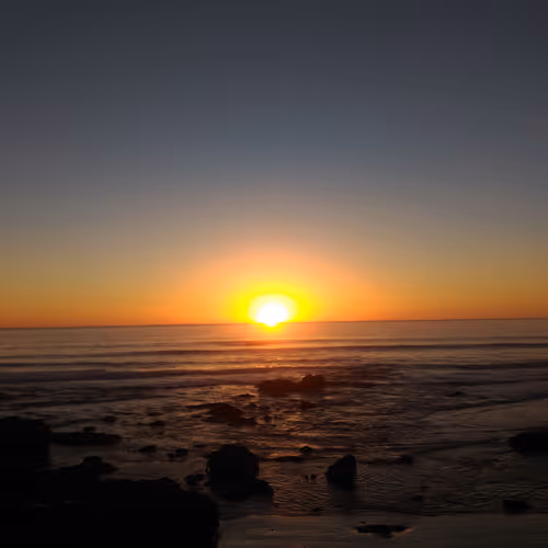 KungfuShenny Collection