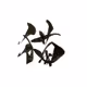 Kuroneko Koubou Membership