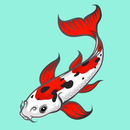 Kawaii Koi Club