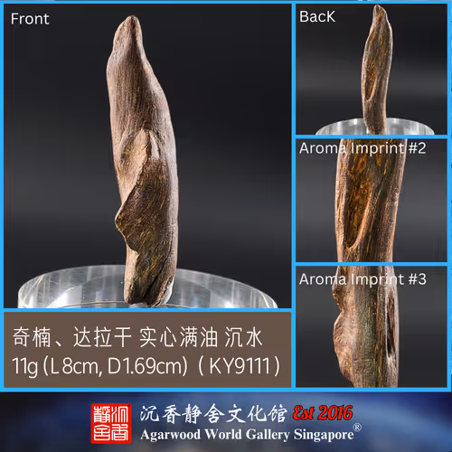 Kynam Deco Tarakan Solid Material Rich in Resin Sinking (KY9111)