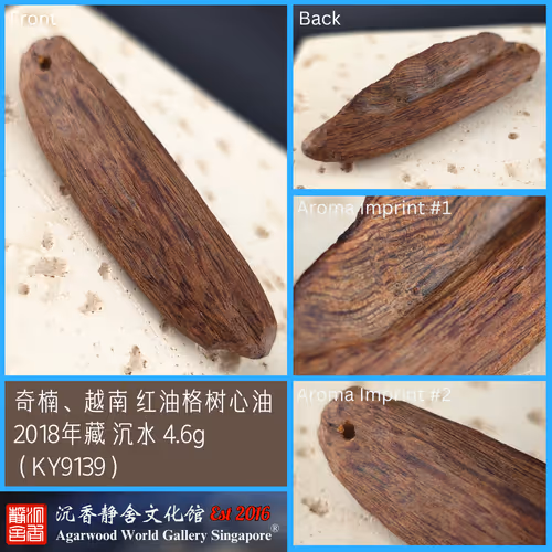 Kynam Vietnam Red Resinous Heartwood 2018 Collection Sinking 4.6g (KY9139)