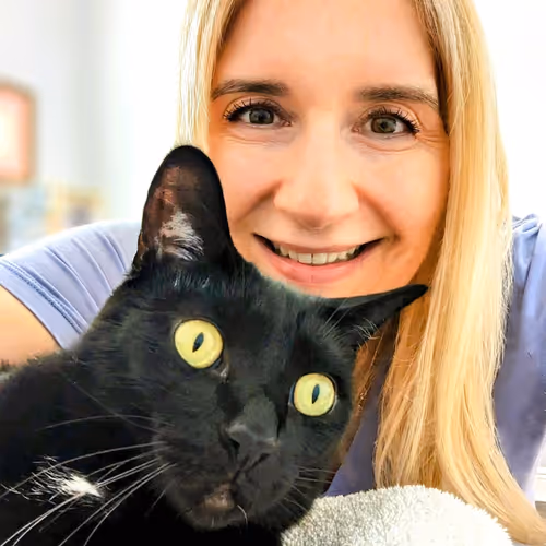 Kyndleigh Art Collection