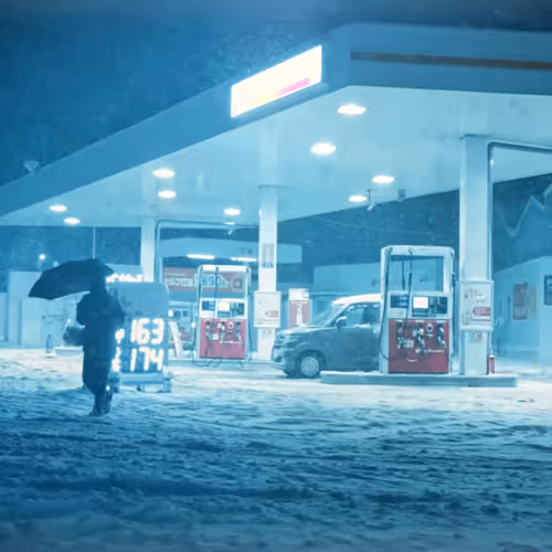 Kyoto's Eternal Winter