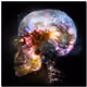 L'univers d'art