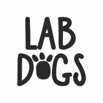LAB DOGS