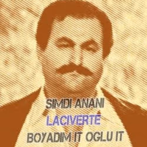 laciverte boyadim