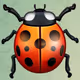 Lady Beetle
