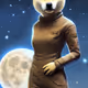 Lady_Doge_Collection