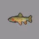 Lake Trout