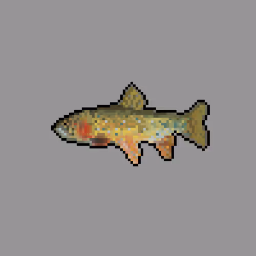 Lake Trout