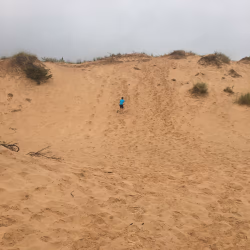 Lake Michigan Dunes - Unsalted