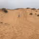 Lake Michigan Dunes - Unsalted