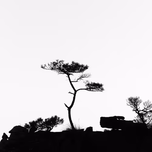 Land of the Dragon - old