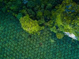 Land treasures art