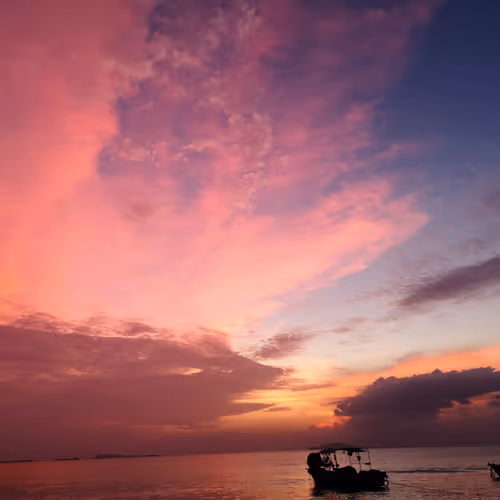 Landscape - 5ZWTKh370u