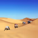 Landscape Art V4