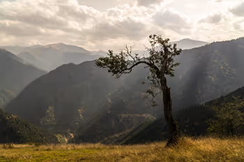 Landscape Collection - Turkiye - old