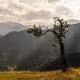 Landscape Collection - Turkiye - old
