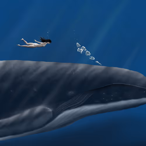 landscape collection - ahS47g0cLQ