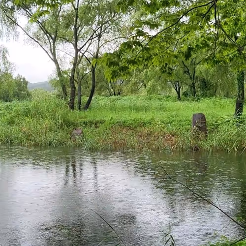 landscape in the rain